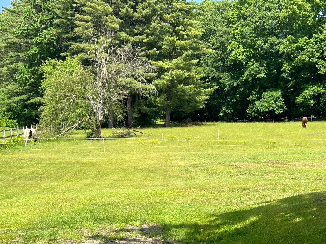 32 Amesbury Road, Kensington, NH 03833